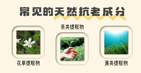 拒绝尴尬!25+女生的七夕护肤正确思路是它