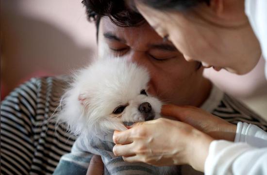 39岁的Kang Sung-il和妻子把宠物狗当作自己的孩子