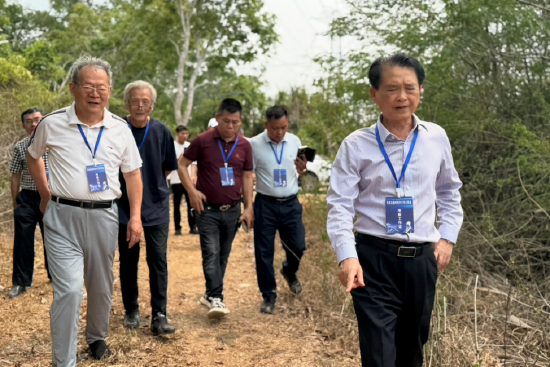 专家组与村民考察位于李坊村委会区域的古驿道遗存。