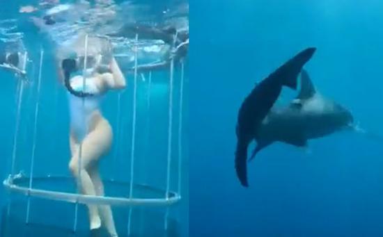 美女星下海拍广告被鲨鱼咬伤 鲜血染红海水
