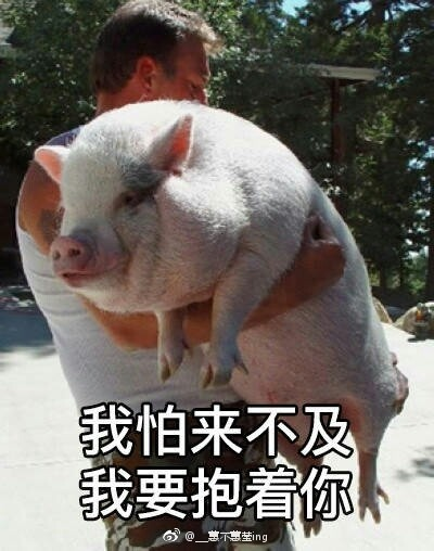 囧哥:上海禁开学两周内摸底考 学校把考试时间改8.31 囧哥:上海禁开学两周内摸底考 学校把考试时间改8.31图片
