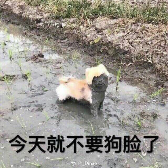 囧哥:上海禁开学两周内摸底考 学校把考试时间改8.31 囧哥:上海禁开学两周内摸底考 学校把考试时间改8.31图片