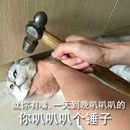 囧哥:世界杯场地不合格 战斗民族在球场外搭临时看台 囧哥:世界杯场地不合格 战斗民族在球场外搭临时看台图片
