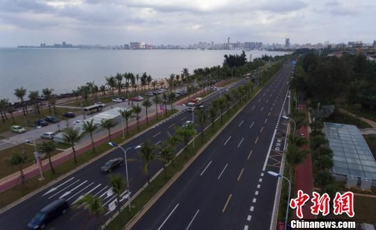 航拍海口市滨海大道，补种椰树改造后的道路更“通透”。　王晓斌　摄