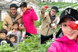 陈浩民夫妇带儿女一家五口日本摘草莓
