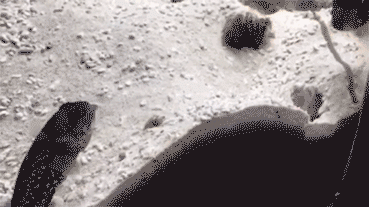 日本举办可以偷的艺术展 还没开场作品