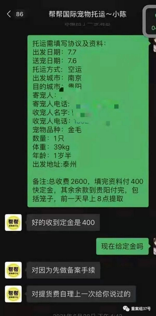  ▲金毛犬主人与托运公司工作人员的聊天记录。受访者供图
