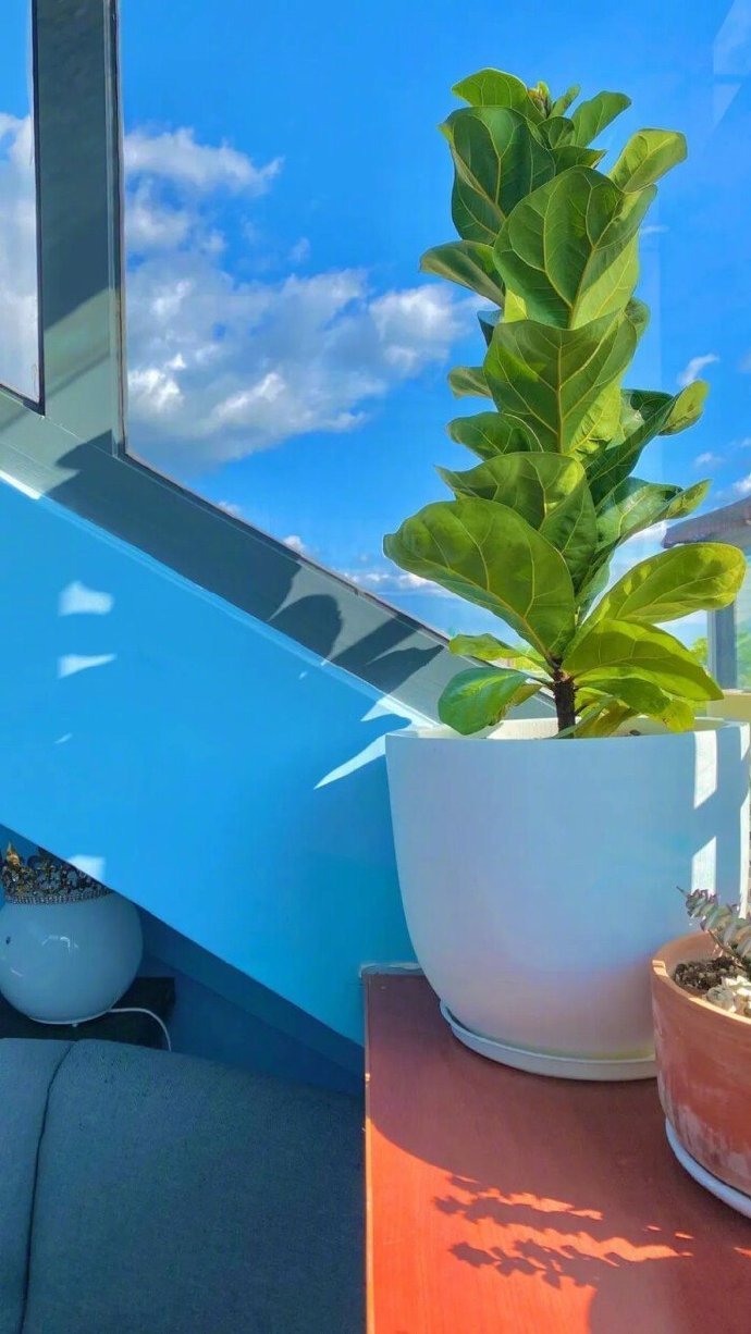 梁晓声谈人生所求，温暖良人守护相伴