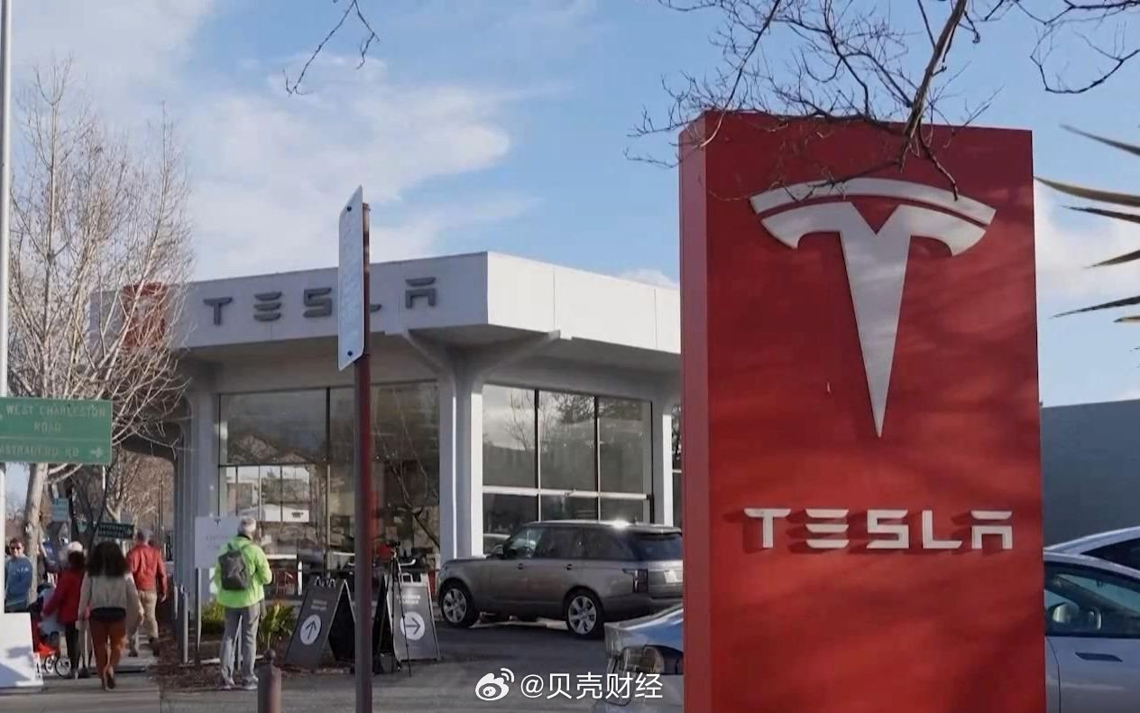 特斯拉陶琳回应刹车门事件，车主志愿者次日全到车展现场