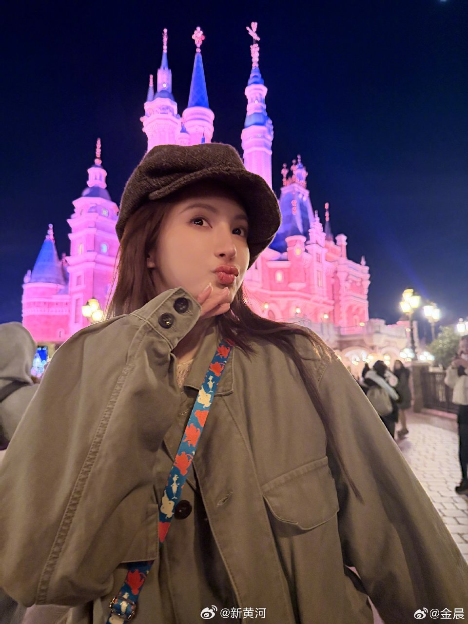 律师解读金晨未被吊销驾照 ：本案属于“尚不构成犯罪”的行政违法行为，因此法律并未强制规定必须吊销驾照