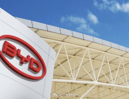 比亚迪杨冬生：辅助驾驶研发聚焦安全上限与用户体验