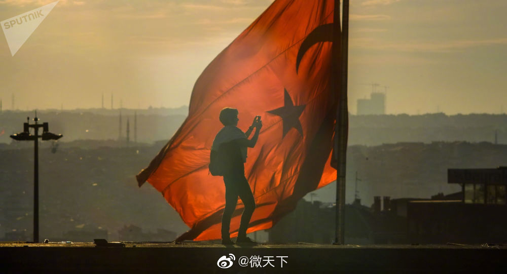 土耳其邀请联合国五常大使 听取有关土在叙行动消息
