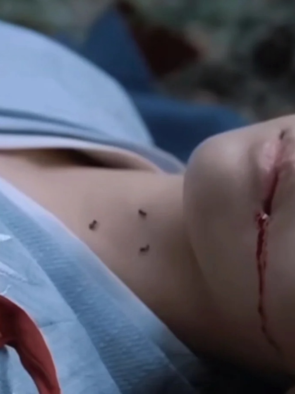 电影特写镜头引热议，蚂蚁真假引观众好奇