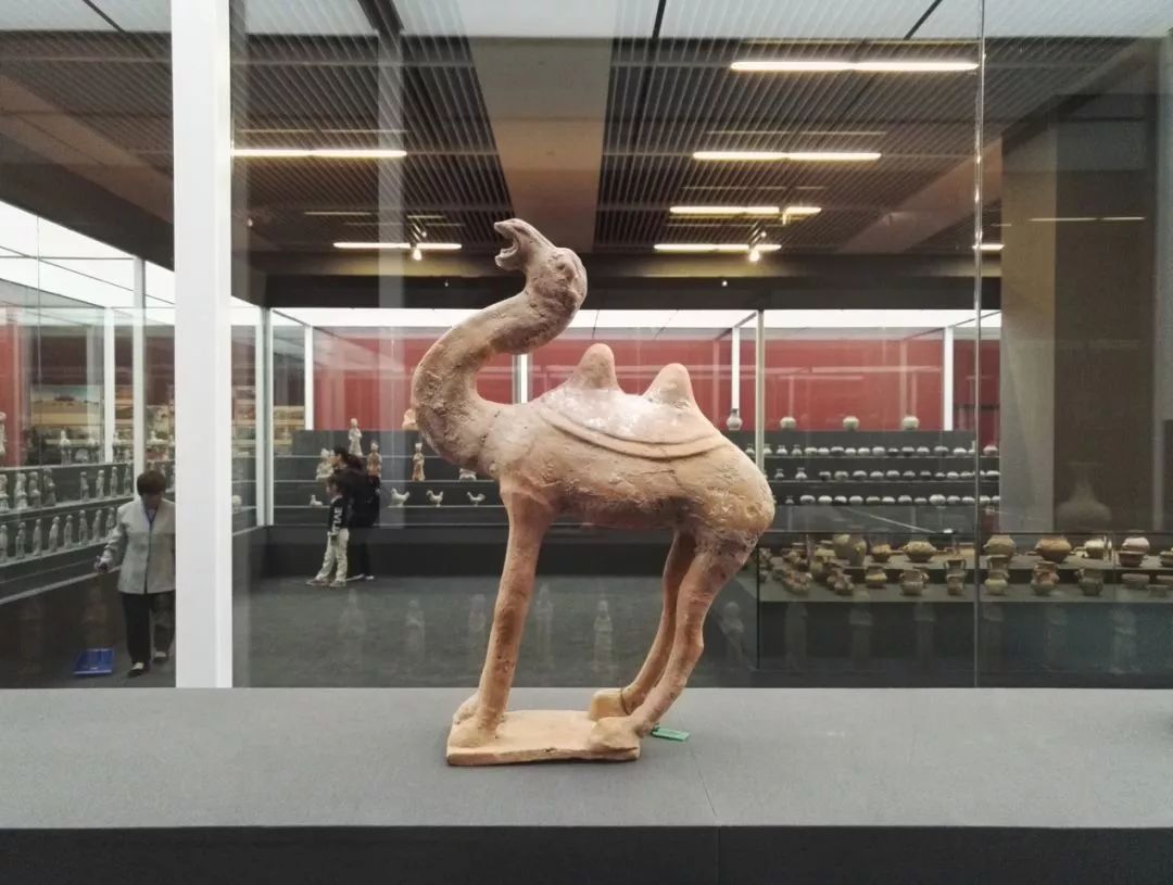 ������������ƴ��ʻ����ա�������IC/ͼ��