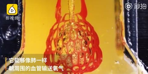 网红饭店排队7000多桌! 每日轻松一刻5月4日晚间版