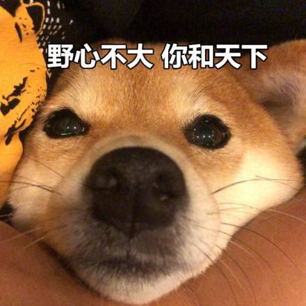 网红饭店排队7000多桌! 每日轻松一刻5月4日晚间版