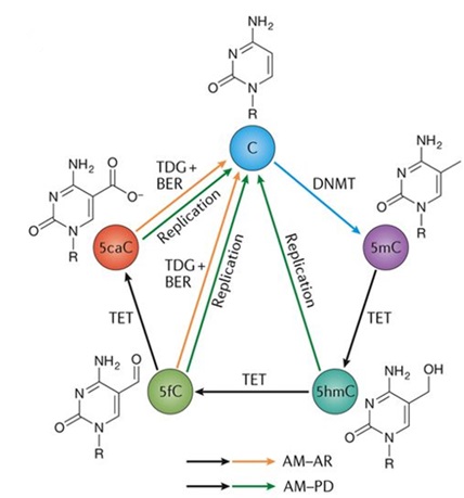 通量gdp_金融衍生品发展沿革及其与金融危机关系分析(3)