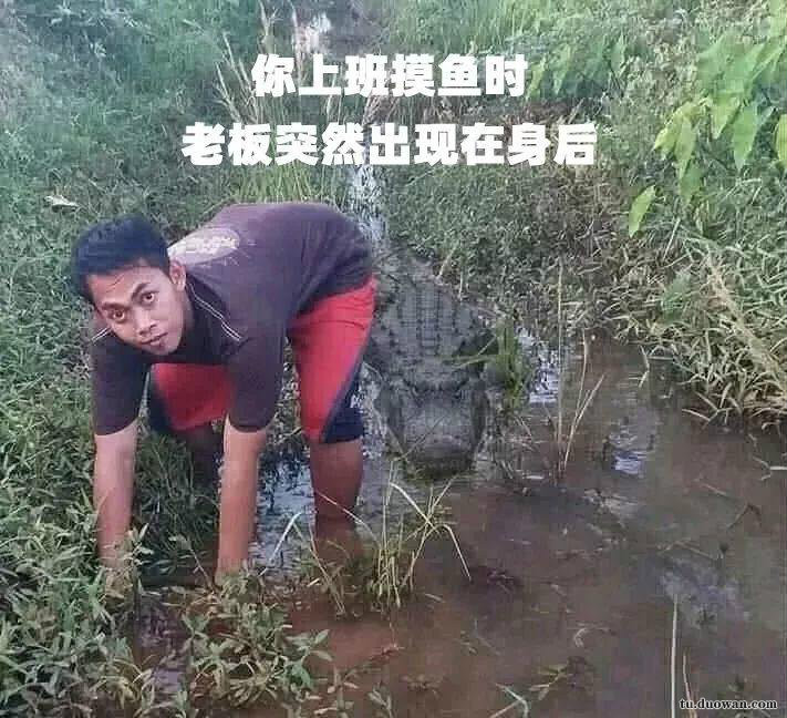 介绍特殊服务却提供正规按摩?轻松一刻5月9日晚间版