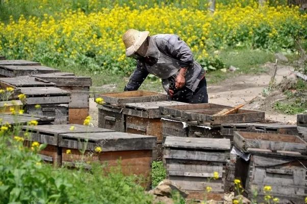 中国耕地与人口_中国耕地仅印度2 3,如何养活14亿人 答案让人拍案叫绝