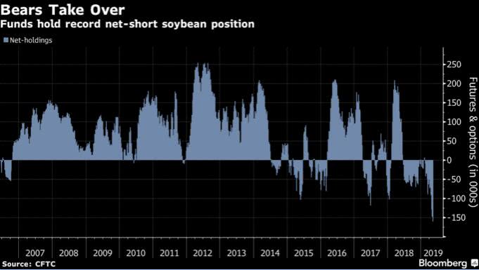 投资者持有大豆期货和期权净空头仓位 图自彭博社
