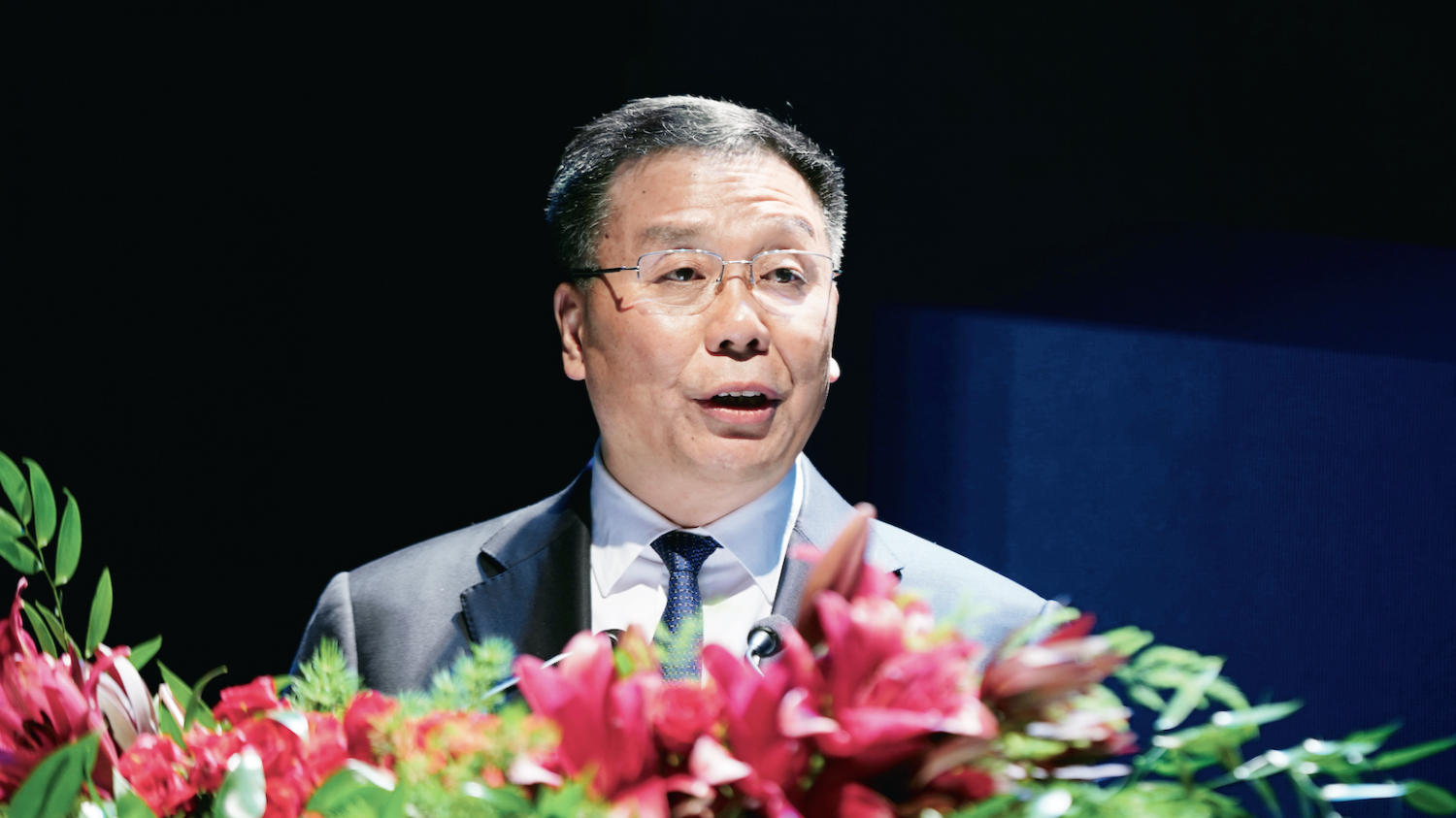 董事长最大_世界上最大的蛇(3)