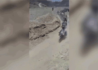 345_245 gif 动态图 动图