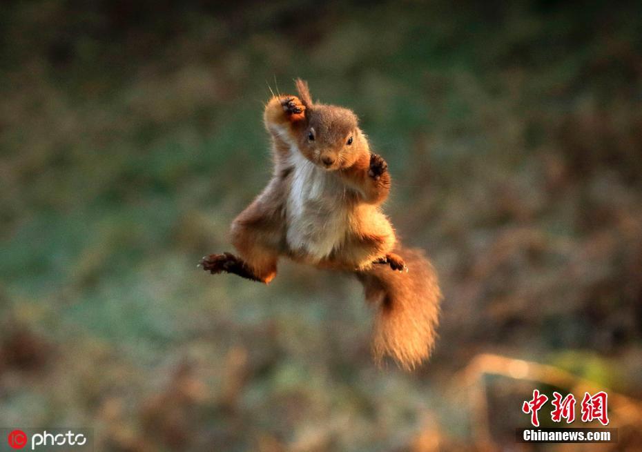 中国队澳大利亚-乐鱼app(leyu)官方网站-乐鱼官网