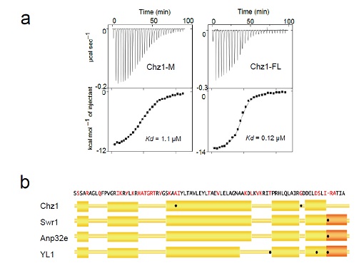 避雷针是根据什么原理制成的针状金属物(3)