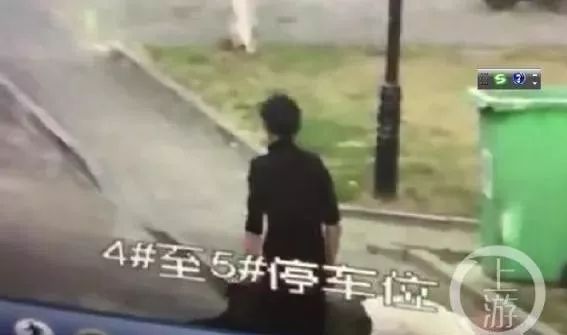 男子遭未牵绳狗撕咬下体 狗主人拽狗离开再未露面