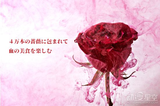 ֡ʱ 4Ǿޱ