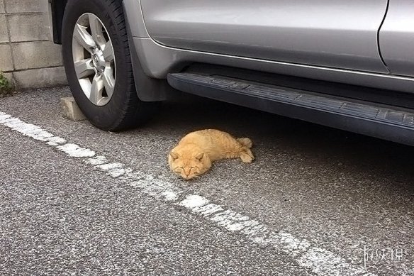 һϵУձСɳְϵ