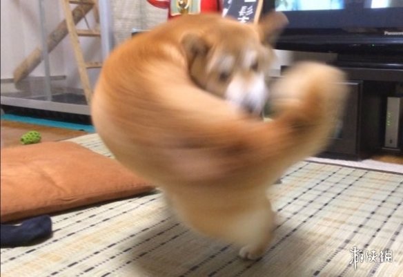 һϵУձСɳְϵ