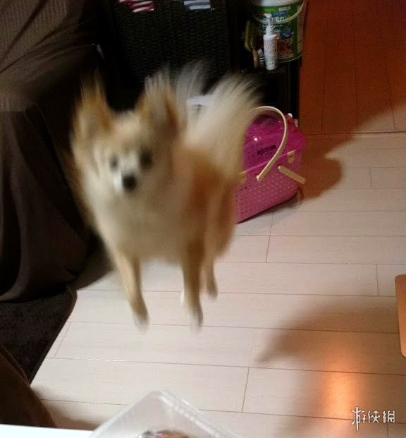 һϵУձСɳְϵ