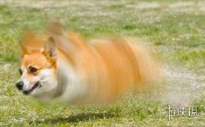 һϵУձСɳְϵ
