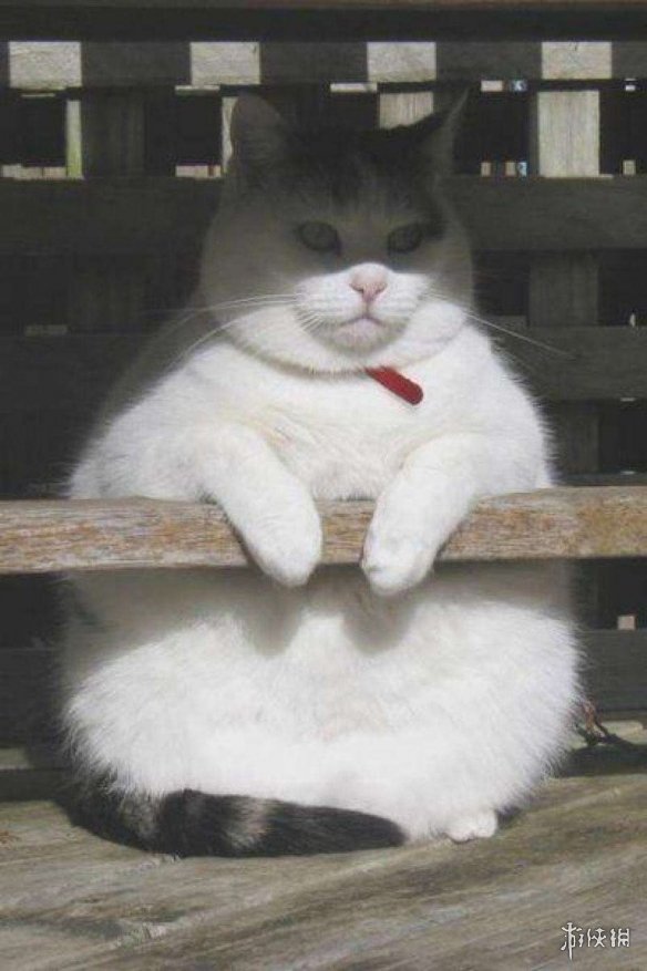 һϵУձСɳְϵ