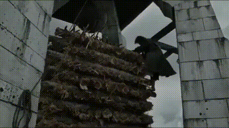 ȺСɰɶ ͼ ⳵һŮ˾