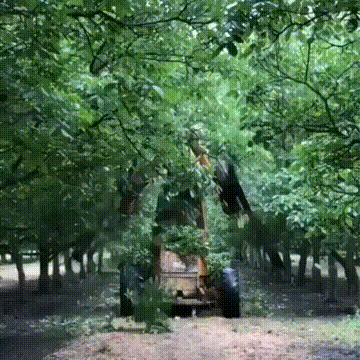 ȺСɰɶ ͼ ⳵һŮ˾