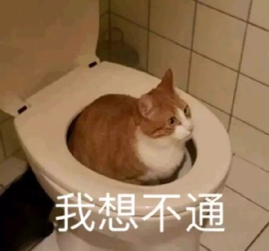 steam̬Ϸ˻֢Ȼ1000