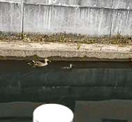 漣ʨգ ͼ ˹;