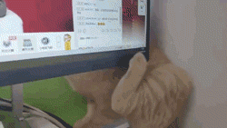 漣ʨգ ͼ ˹;