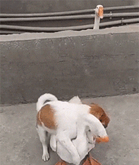 漣ʨգ ͼ ˹;