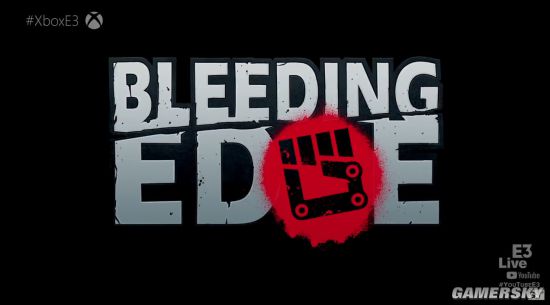 E3 2019Ninja Theory˾Bleeding Edge 627տ