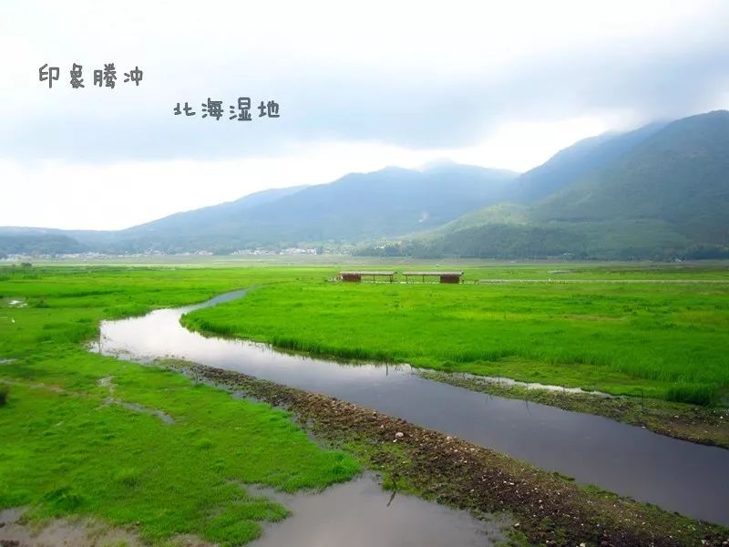 腾冲人口有多少_漠河腾冲一线人口图片