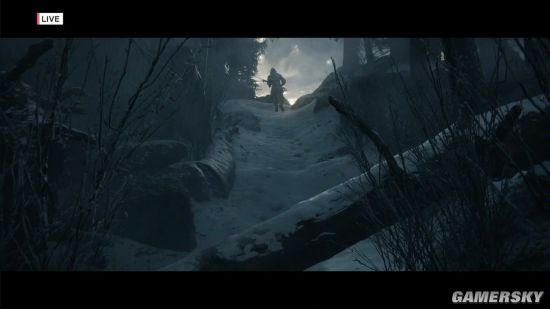 E3 2019ѻ֣սʿԼʵʾ ѩҹɱ