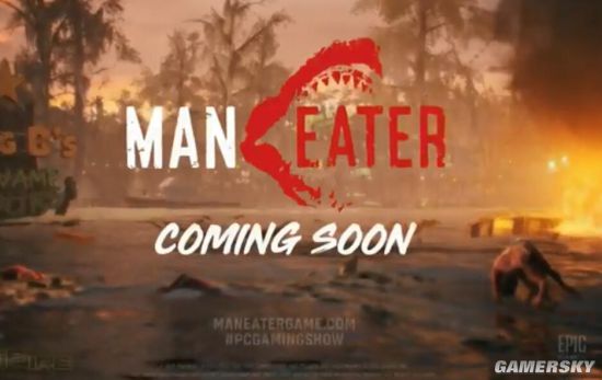 E3 2019 PC GamingܣPC桶ɯľ3Epicռ