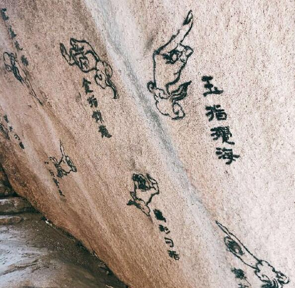 吸尘器治大姨妈送进医院 每日轻松一刻6月13日晚间版