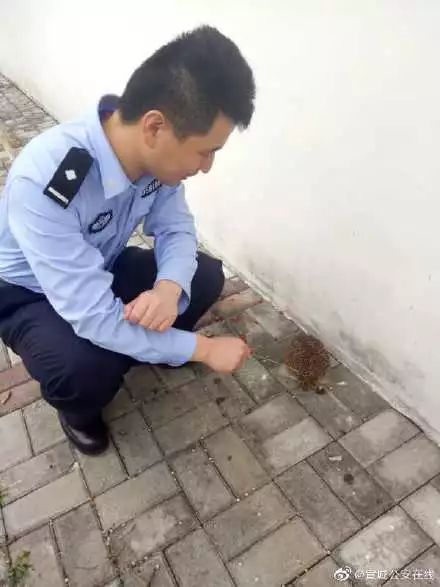 民警献血一开始比“V”手势 针扎下去疼成表情包