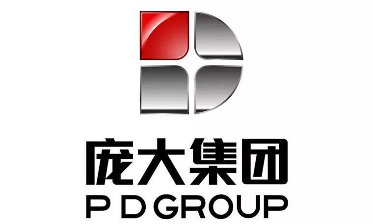 庞大集团老总_庞大集团