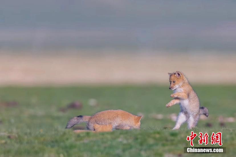 曼联法比奥-乐鱼app(leyu)官方网站-乐鱼官网