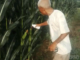 Ůһгʦھͼ˶ ͼ ٹ